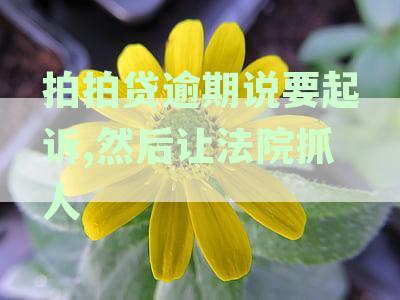 拍拍贷即将起诉我：如何应对诉讼程序与可能的结果？