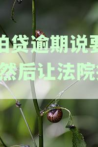 拍拍贷起诉我，回家处理——含义与应对办法