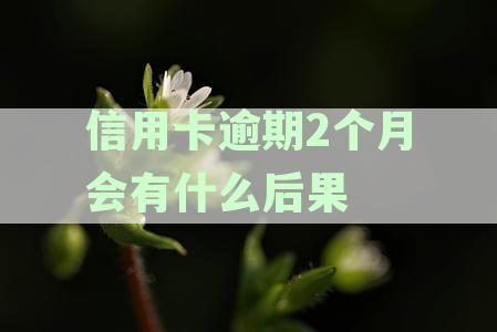 信用卡逾期2个月会有什么后果