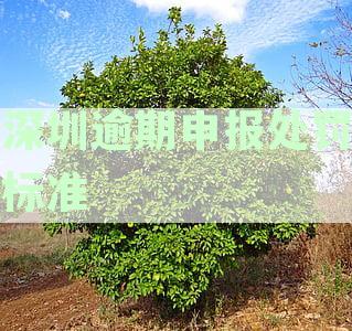 深圳逾期申报处罚标准详述：涉及罚款、信用记录等多方面影响，如何避免？