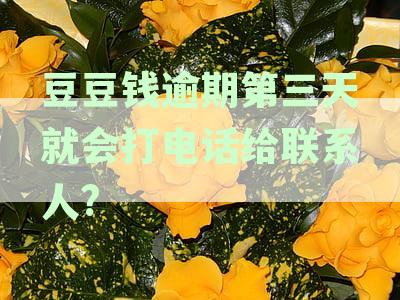 豆豆钱逾期四天未还款，他们将给我家人打电话：如何应对这种情况？