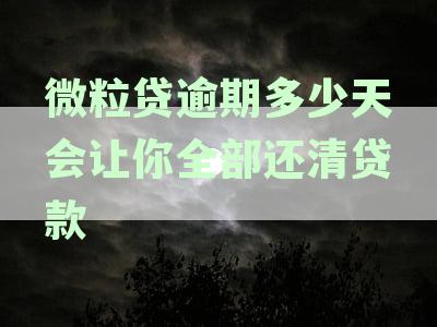 微粒贷逾期还款策略：逾期多久会被要求全额一次性还清？