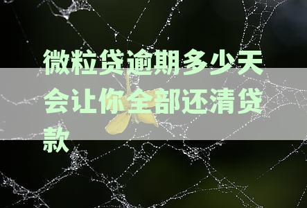 新微粒贷逾期还款时间与还款方式一览，如何避免逾期一次性还清？