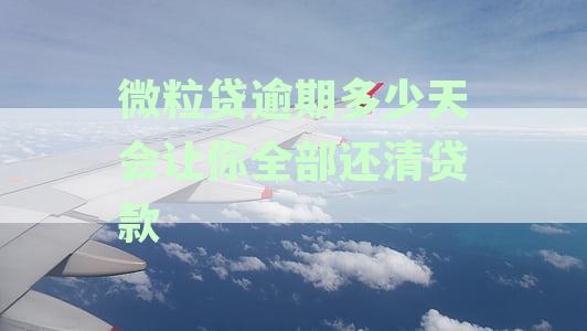 微粒贷逾期多少天会让你全部还清贷款