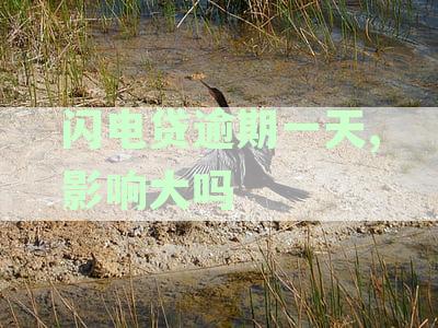闪电贷逾期一天的后果及补救措，了解这些很重要！