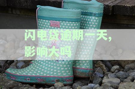 招商招行闪电贷逾期一天是否会影响信用记录？