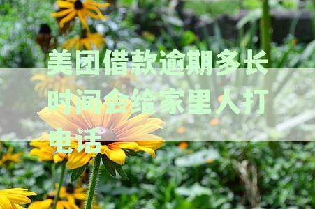 美团贷款逾期多久才打电话给母朋友：具体时间与处理政策解析