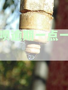 花呗逾期一天后还款，是否能消除影响并继续使用？