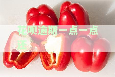 花呗逾期一天还款后是否仍需支付利息？逾期还款的相关费用如何计算？