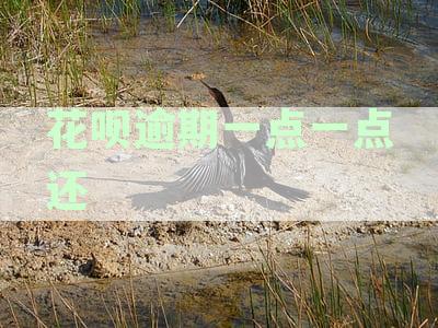 2021年花呗逾期1天后还款，是否会影响征信？