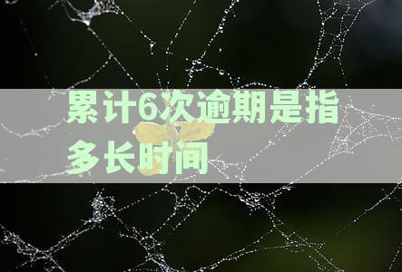 累计六次逾期的含义及其涵围：单指某一个银行还是所有贷款？