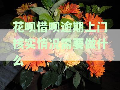 花呗借呗逾期上门调查：应查看哪些证件？