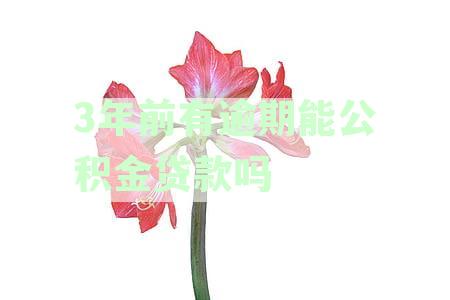 公积金贷款逾期四年是否会产生影响：解答用户关心的问题