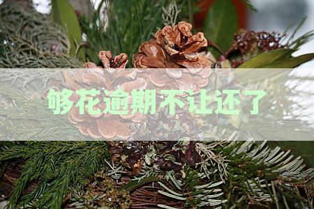 逾期还款宽限期：海尔最多可以多少天？