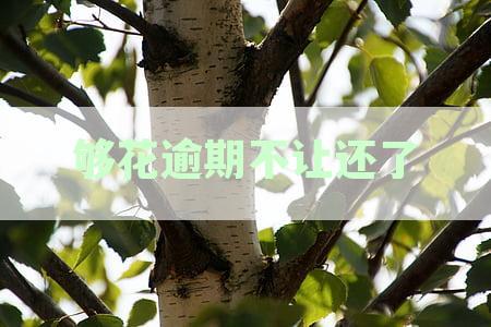 够花逾期不让还了