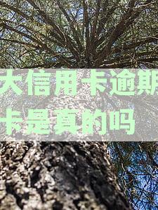 光大信用卡逾期后卡片是否会被冻结及锁定？这是真的吗？