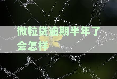 微粒贷逾期半年已全清：再借出款的可能性及条件分析