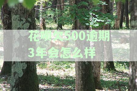 花呗逾期3年未还款，500元欠款会产生怎样的后果和解决方案？