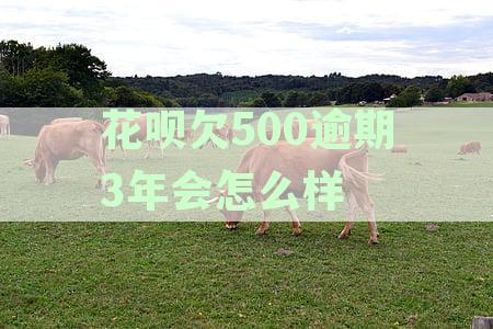 支付宝花呗500逾期三年没还会怎样处理？请提供相关信息以便计算利息。