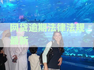全面了解网贷逾期法律法规：最新版解读、逾期处理方法与后果防