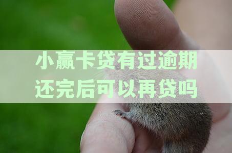 小赢卡贷逾期还款后，是否还有资格继续借款？