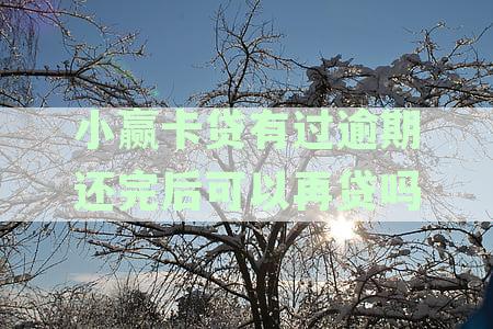 小赢卡贷有过逾期还完后可以再贷吗