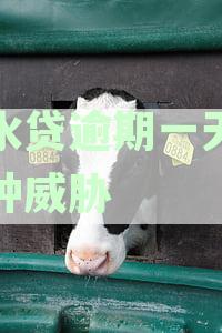 滴水贷逾期1天还款后何时能再次借款？
