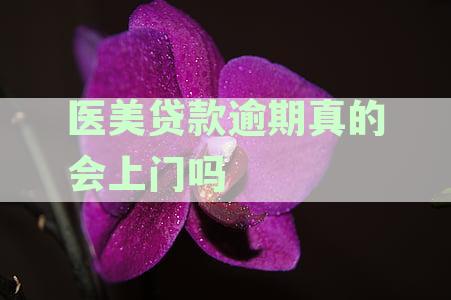 医美贷款逾期风险与解决方案：真的会上门催收吗？