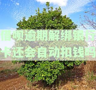 支付宝借呗逾期问题：如何解决银行卡解绑困扰？