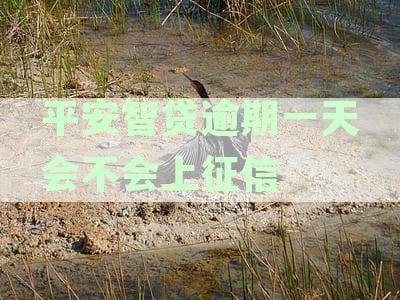 平安智贷逾期一天是否会影响征信：解答与资讯汇总