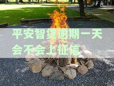 平安智贷逾期一天会产生哪些影响？如何避免逾期及应对措