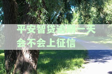 平安智贷逾期多久会联系联系人及电话解答
