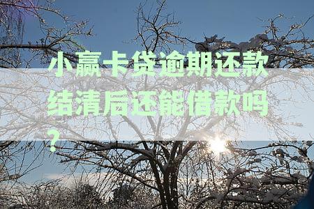 小赢卡贷逾期还款后结清，是否能再次借款？安全系数如何？解答用户疑惑