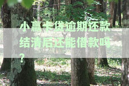 小赢卡贷逾期还款后能否再次借款：安全与否分析