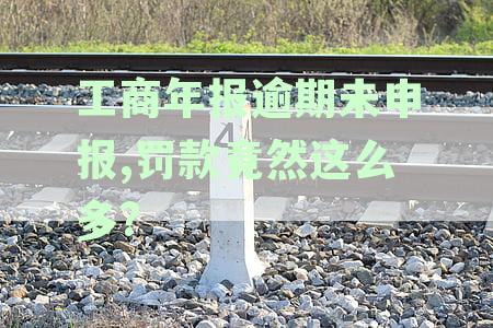 未按时申报工商年报，竟然面临高额罚款，你知道后果吗？