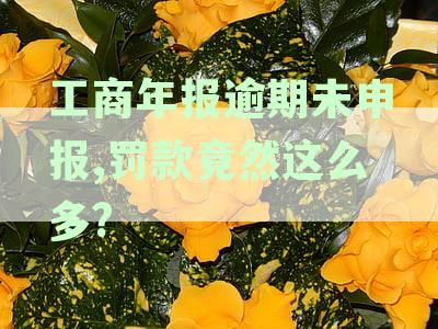 工商年报逾期申报的后果及相关罚款规定全面解析，如何避免罚款？