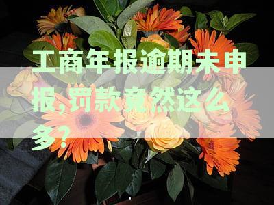 逾期未交工商年报罚款：面临的严峻后果与申报策略