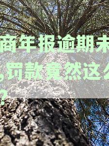 工商年报逾期未申报,罚款竟然这么多?