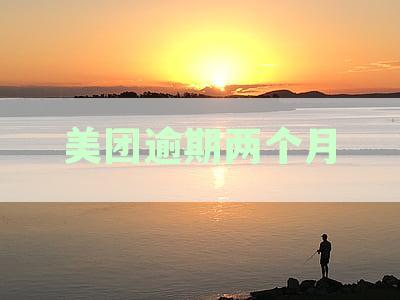 美团逾期两个月：可能面临的法律诉讼及本地法院的相关问题