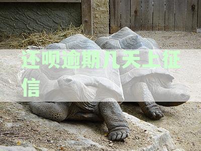 借呗逾期还款时间及征信记录影响全解析，助您避免逾期风险！