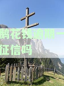 小鹅花钱逾期一天的后果及解决办法，让您全面了解逾期影响和应对策略