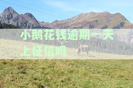 小鹅花钱逾期几天会不会有影响？逾期还款的后果及处理方法是什么？