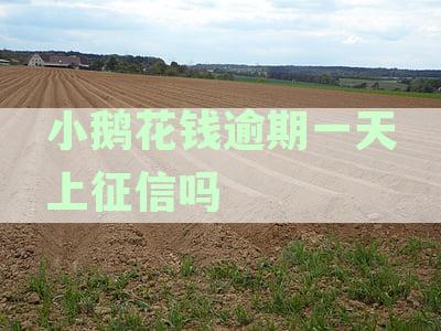 小鹅花钱逾期一天上征信吗