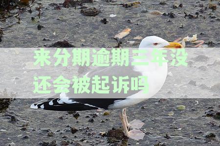 分期逾期3年，我该如何应对法律诉讼？了解相关问题和解决办法