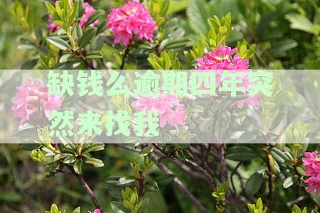 逾期三年后仍被催收，新方案出台解决您的资金困扰，联系方式更新！