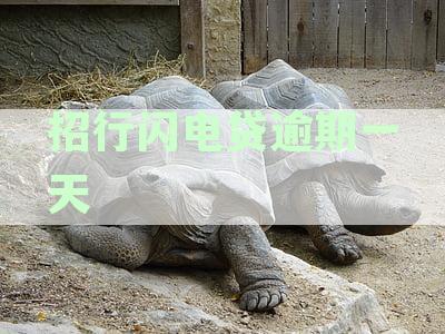 '招行闪电贷逾期一天还款上征信问题：一天逾期会影响信用吗？'