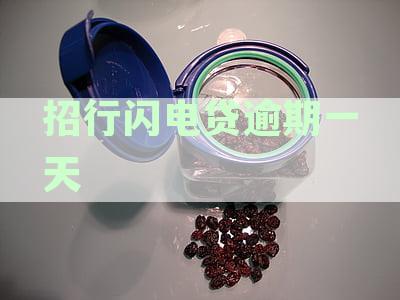 招行闪电贷逾期一天还款的影响及相关政府房福利资格探讨