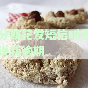 收到催收短信提醒逾期，如何应对分期付款问题并报警？