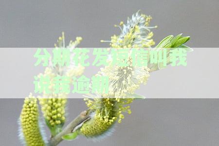 分期花逾期短信通知：如何处理？取证及解决逾期问题全攻略