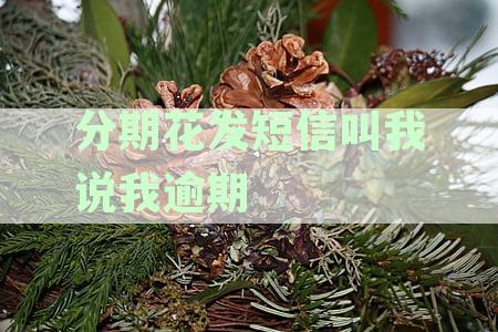分期花发短信叫我说我逾期